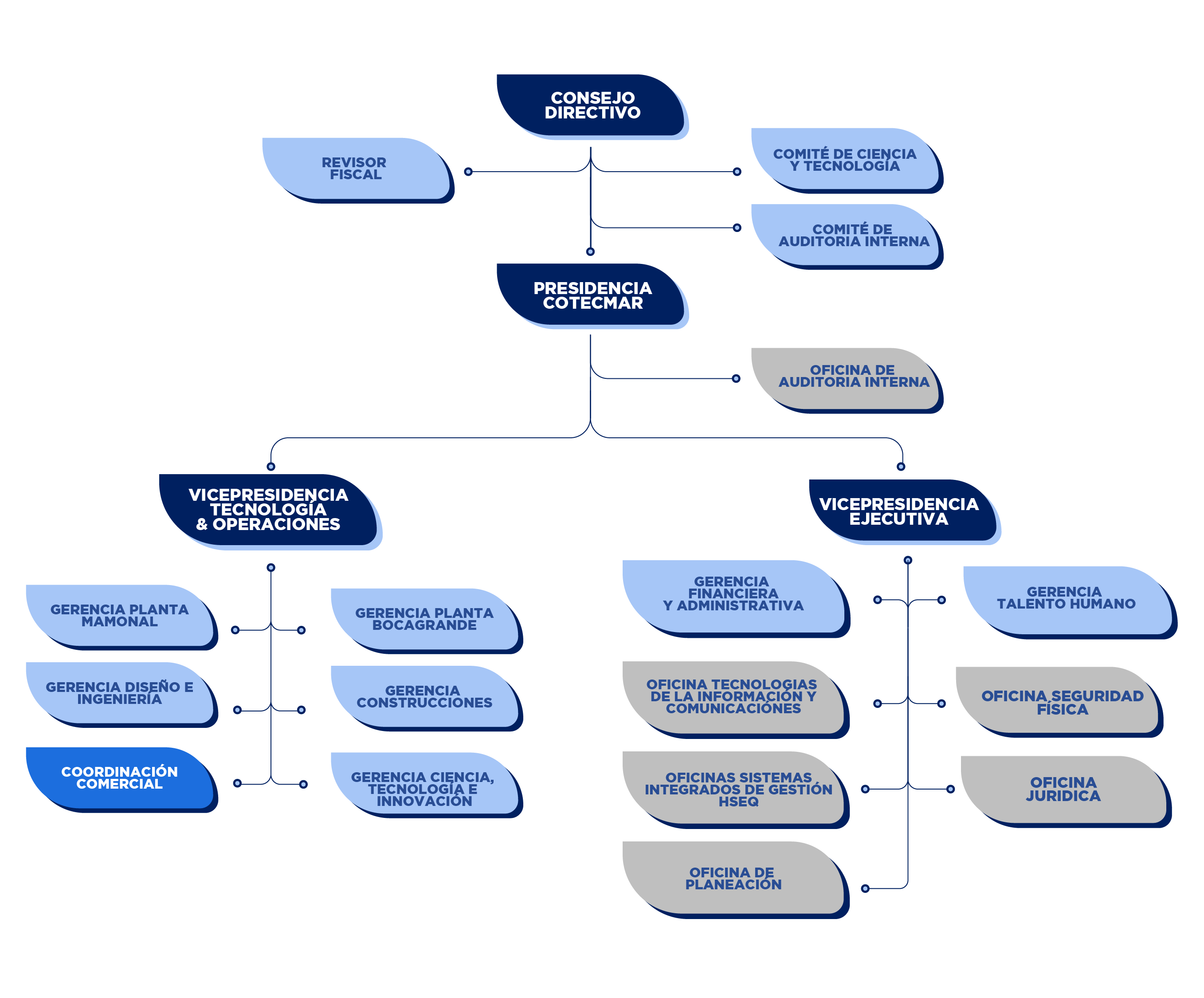 Organigrama