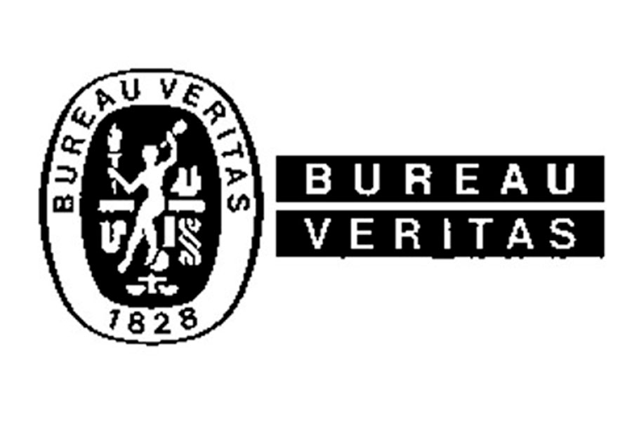 Logo Bureau Veritas